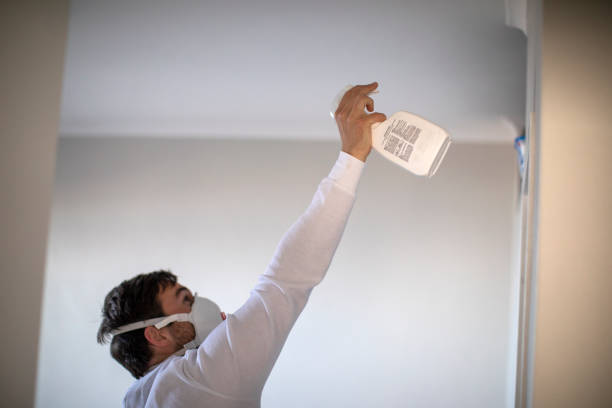 Attic Mold Removal in Cleveland, MS
