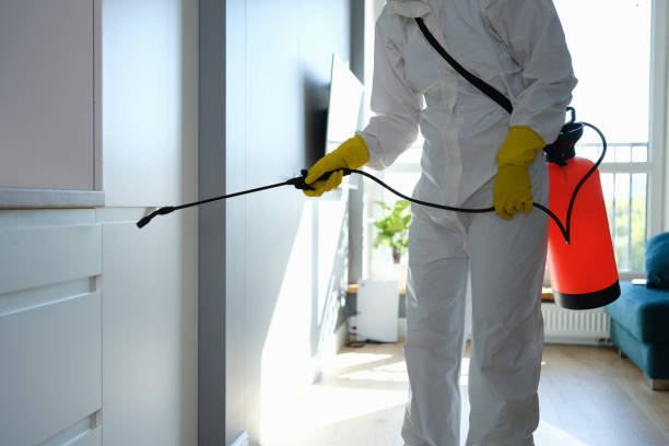 Reliable Cleveland, MS Mold Removal Solutions