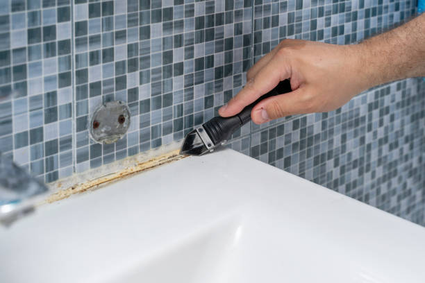 Best Local Mold Removal Service  in Cleveland, MS