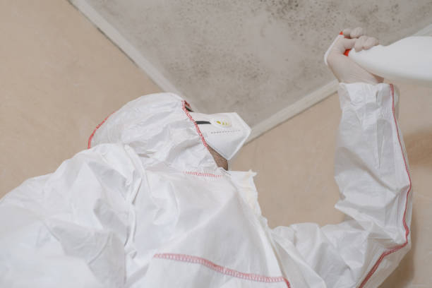 Best Home Mold Removal  in Cleveland, MS